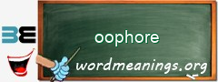 WordMeaning blackboard for oophore